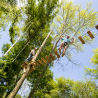 A man walks across the high ropes course at Camp Canaan during a team building exercise.
