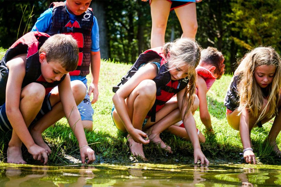 junior campers bend down to look for fish, minnows and frogs at the edge of Lake Canaan