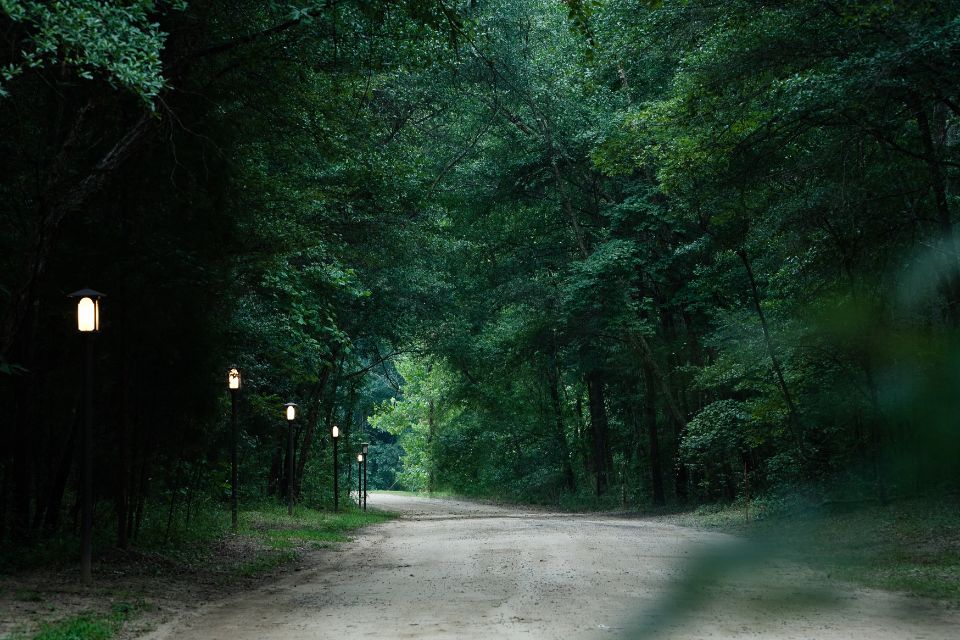 lanterns light the sandy road at Camp Canaan