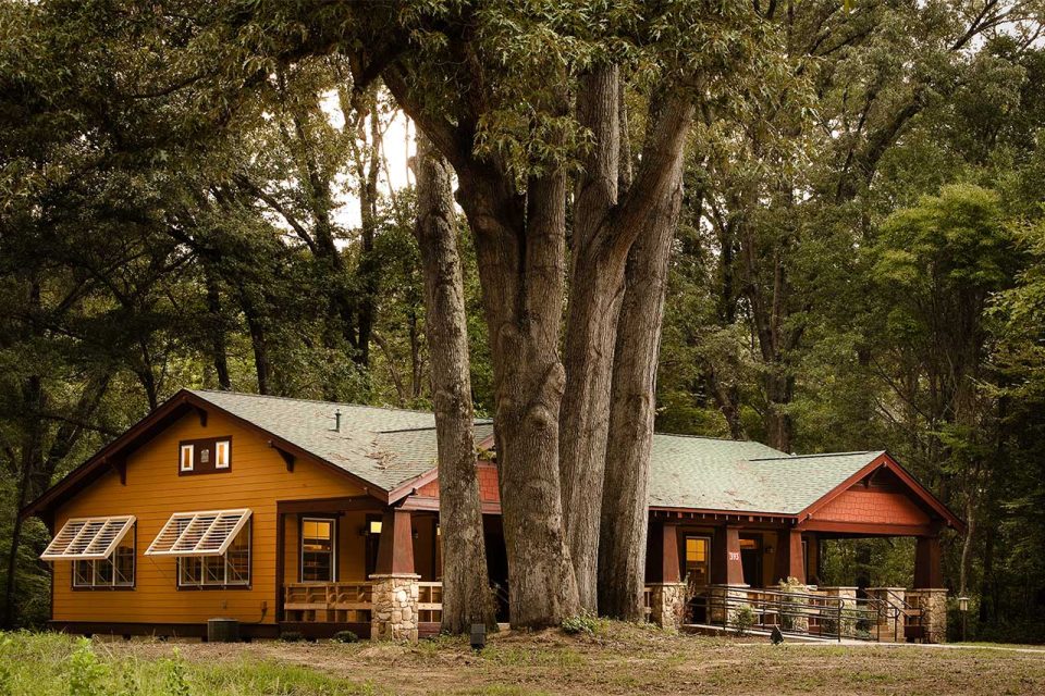 Exterior view of the cabin at Camp Canaan with a green roof sits amidst a lush forest. The cabin has large trees around it and features a porch, multiple windows with awnings, and a porch railing. The serene setting is surrounded by dense, leafy trees.